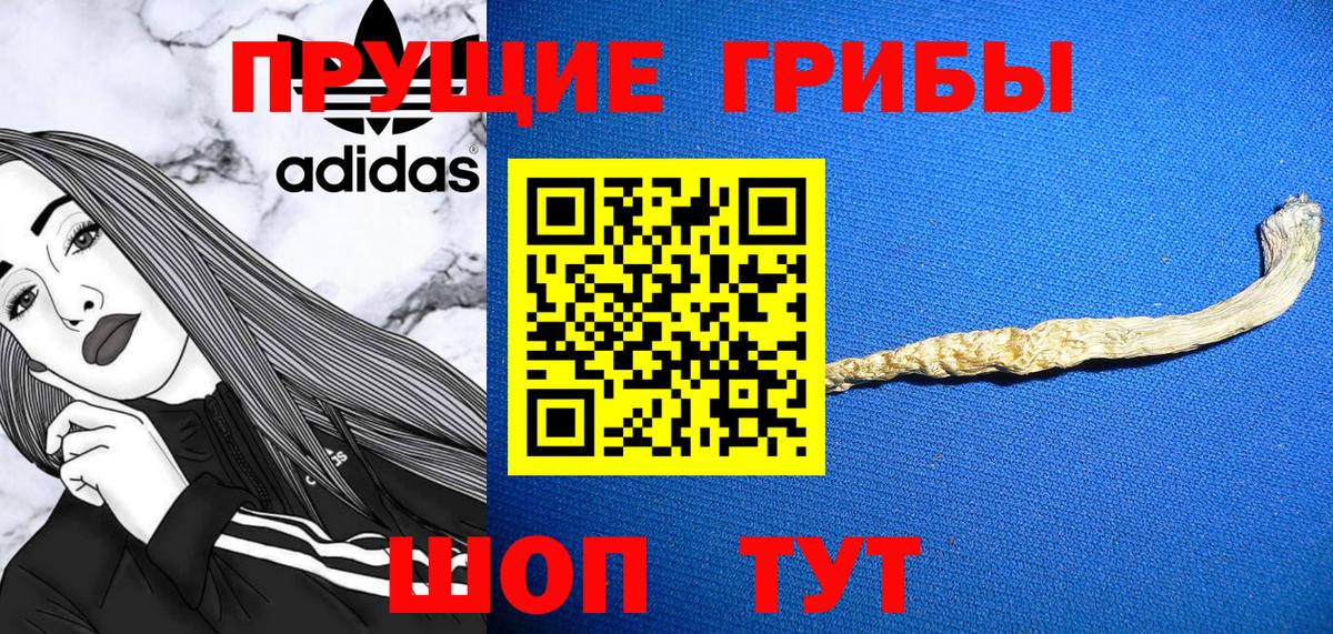 даркнет сайт  Псилоцибиновые грибы Psilocybine cubensis  Вход с VPN  Череповец 